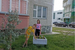 image11