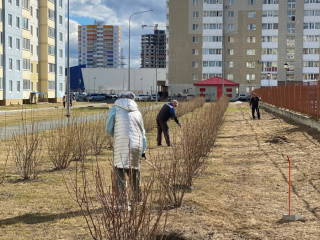 obshhegorodskoj-subbotnik-03